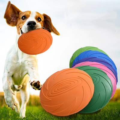 Dog Flying Disc Toy