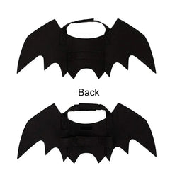 Halloween Bat Wing Pet Costume