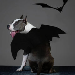 Halloween Bat Wing Pet Costume