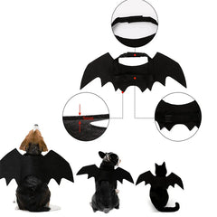 Halloween Bat Wing Pet Costume