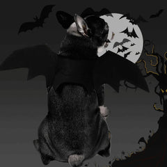 Halloween Bat Wing Pet Costume