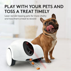 Dog Feeder Companion Robot