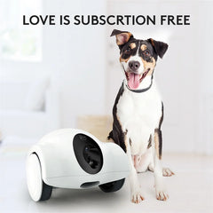 Dog Feeder Companion Robot