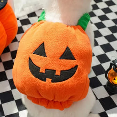 Halloween Pumpkin Dog Costume