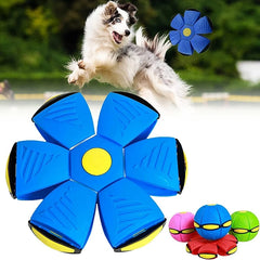 Flying Saucer Dog Toy