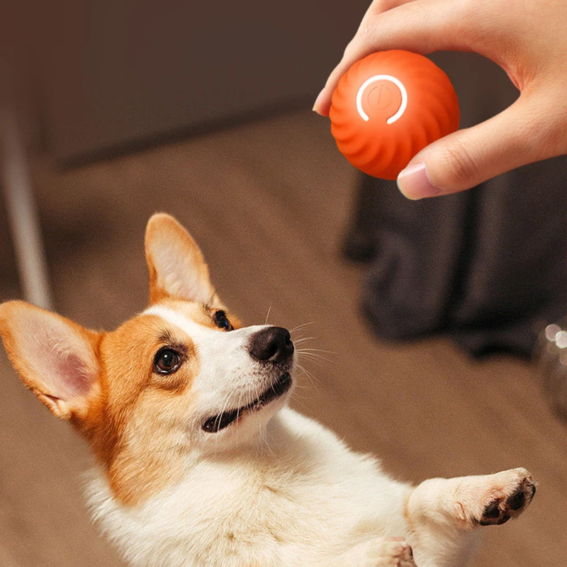 Automatic Dog Ball Toy