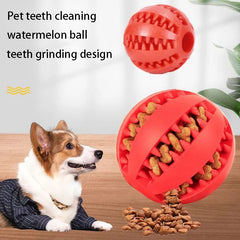 Rubber Dog Ball Feeder