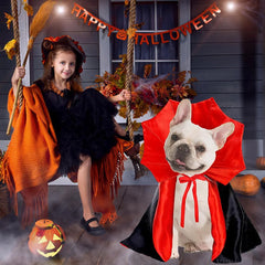 Dog Halloween Vampire Costume