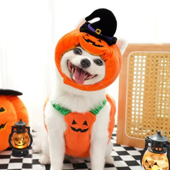 Halloween Pumpkin Dog Costume