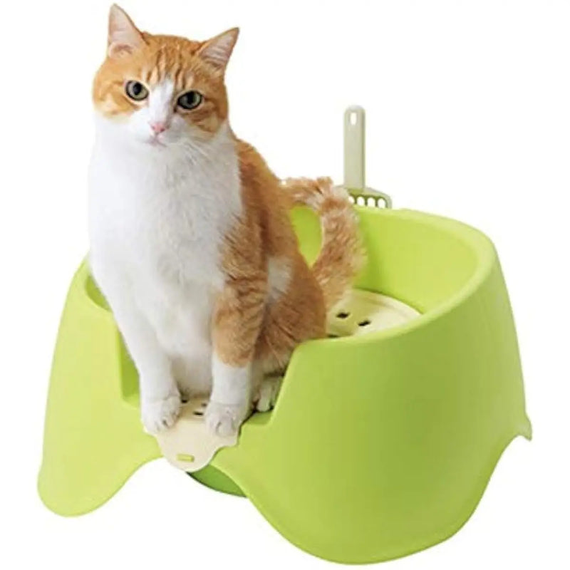 Cat Training Toilet Box