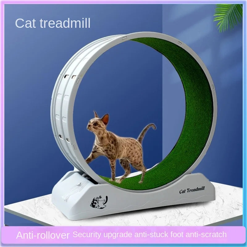 Cat Exercise Wheel