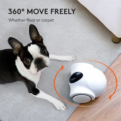 Dog Feeder Companion Robot