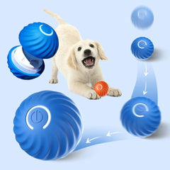 Smart Dog Ball Toy