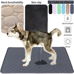 Absorbent Dog Pee Pad