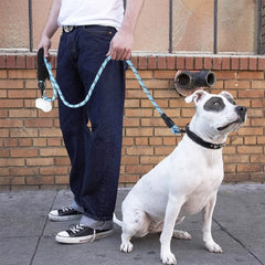 Strong Dog Leashes