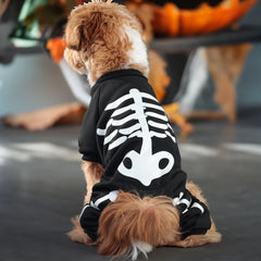 Luminous Halloween Dog Costume