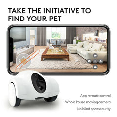 Dog Feeder Companion Robot