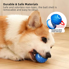 Smart Dog Ball Toy