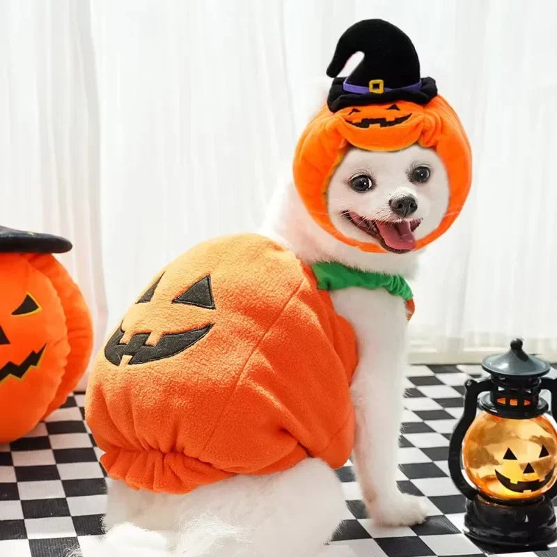 Halloween Pumpkin Dog Costume