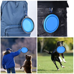 Collapsible Dog Feeder