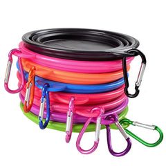 Collapsible Dog Feeder