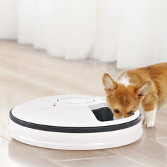 Intelligent Dog Feeder